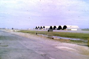 510th Fighter Squadron "Buzzards of Bien Hoa"