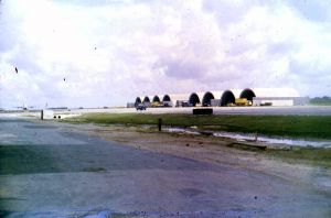 510th Fighter Squadron "Buzzards of Bien Hoa"