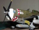 p 47 bug 02 575